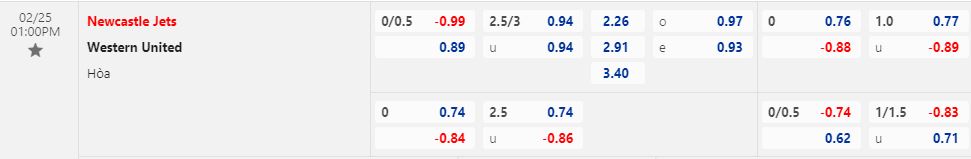 Nhận định Newcastle Jets vs Western United 13h00 ngày 252 (VĐQG Australia 202223) 1