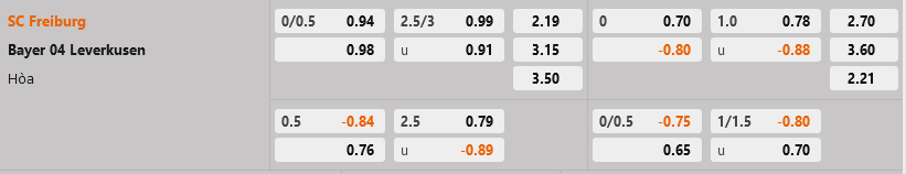 Freiburg vs Leverkusen