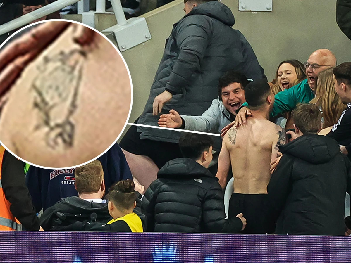 Miguel Almiron “Eddie Howe cho tôi nhiều sự tự do hơn” 3 Miguel Almiron “Eddie Howe cho tôi nhiều sự tự do hơn” 3