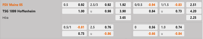 Mainz vs Hoffenheim Mainz vs Hoffenheim