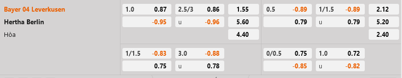 Leverkusen vs Hertha Berlin