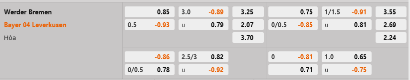 Bremen vs Leverkusen