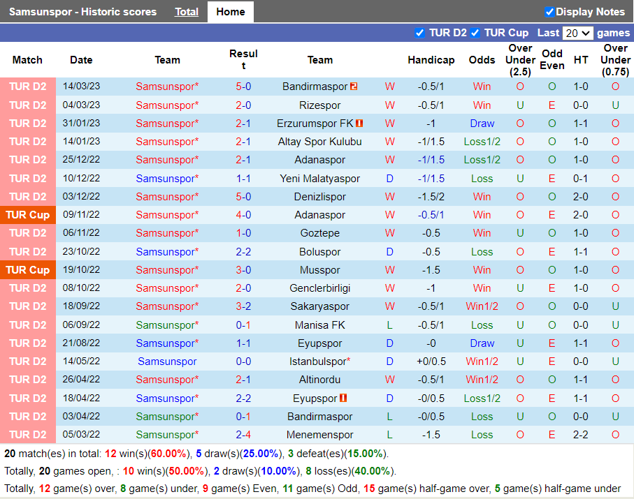 Nhận định Samsunspor vs Altinordu (0h00 ngày 253, Hạng 2 Thổ Nhĩ Kỳ) 3