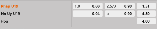 U19 Phap vs U19 Na Uy