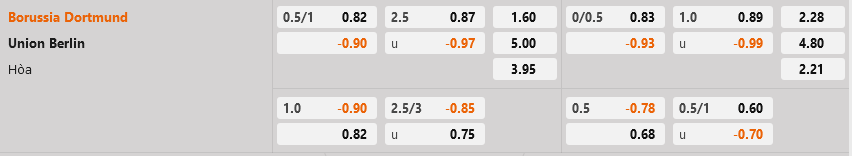 Dortmund vs Union Berlin Dortmund vs Union Berlin