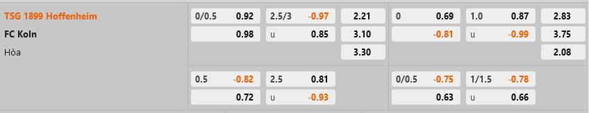 Hoffenheim vs Cologne