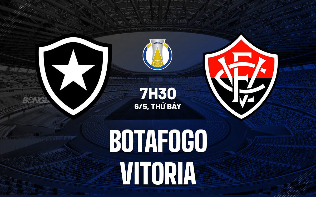 Botafogo vs Vitoria (2)