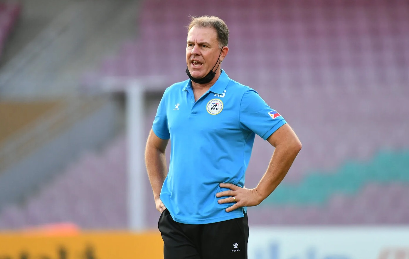 Alen Stajcic Alen Stajcic