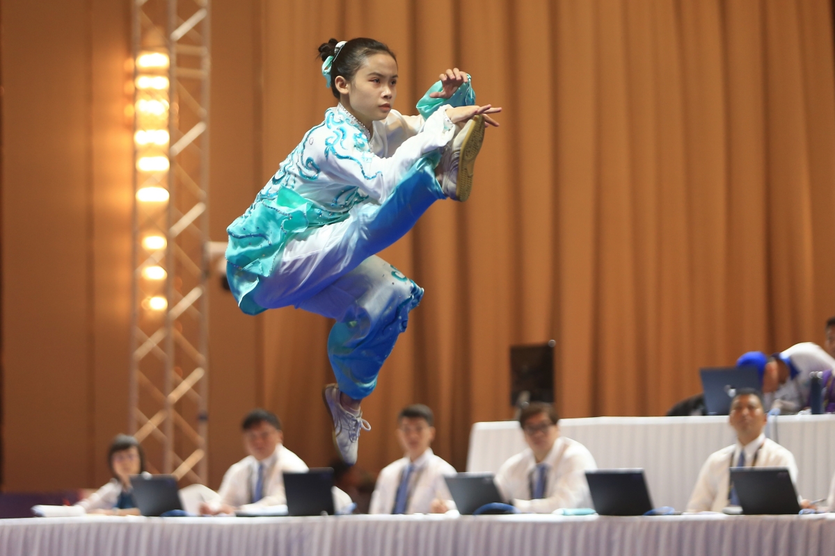 Nguyen Le Chi wushu 10/5