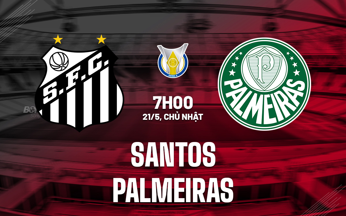 Santos vs Palmeiras Santos vs Palmeiras