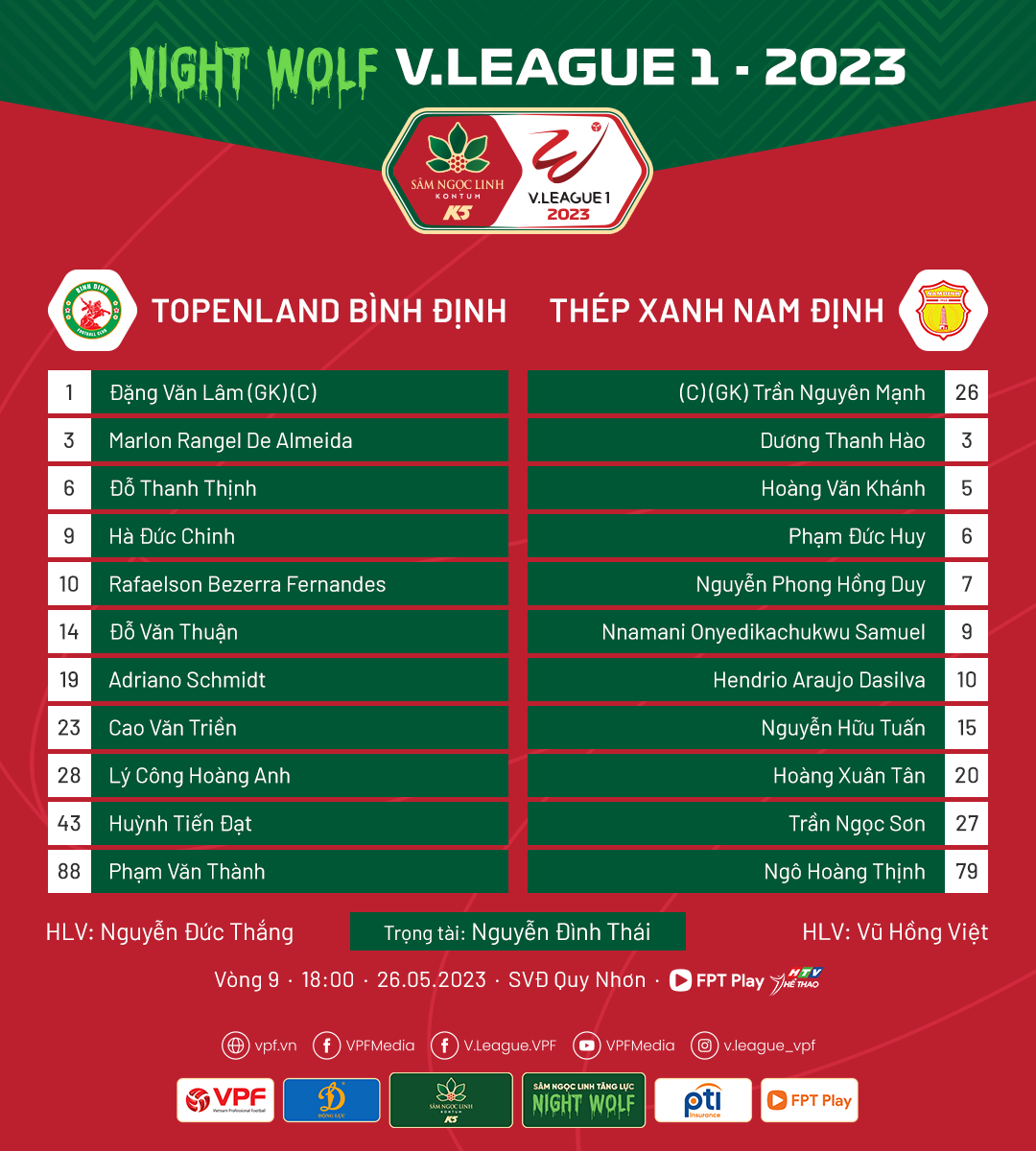 nam dinh vs binh dinh