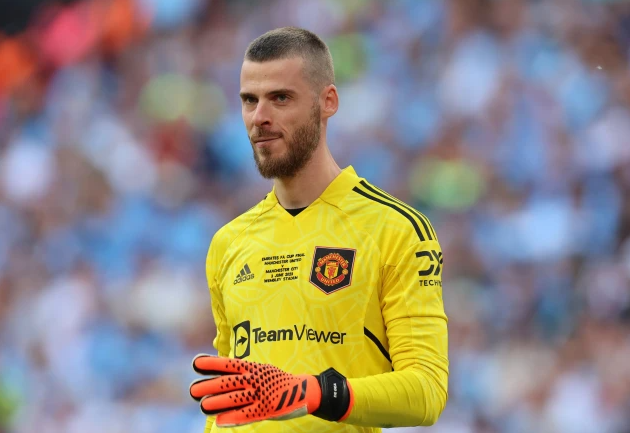 David de Gea trong màu áo MU David de Gea trong mau ao MU