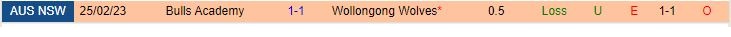 Nhận định Wollongong Wolves vs Northbridge Bulls 16h30 ngày 96 (VĐQG bang New South Wales 2023) 1