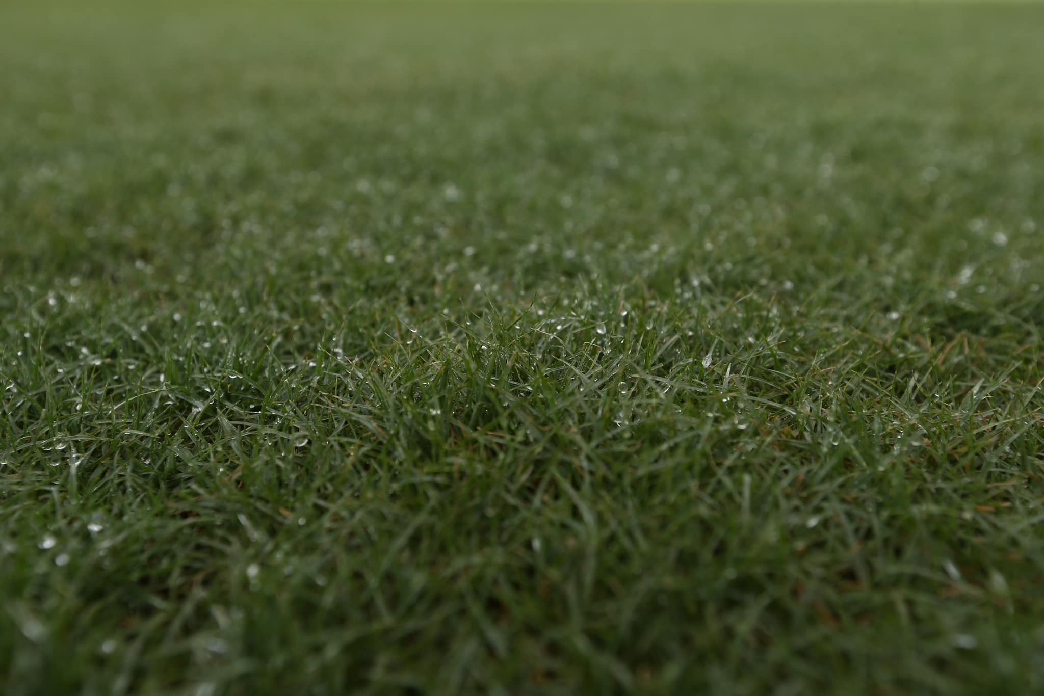 Bầu Hoàn thị sát sân Lạch Tray trước trận đấu của ĐT Việt Nam 7