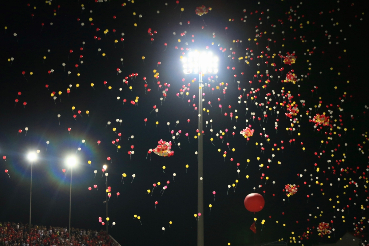 Khán đài đặc biệt của CĐV Việt Nam trước Hong Kong 6