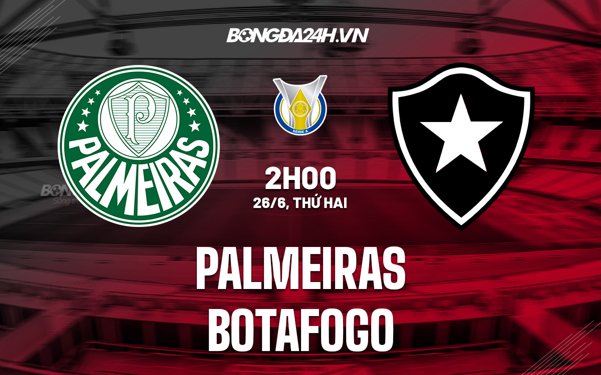 Palmeiras vs Botafogo