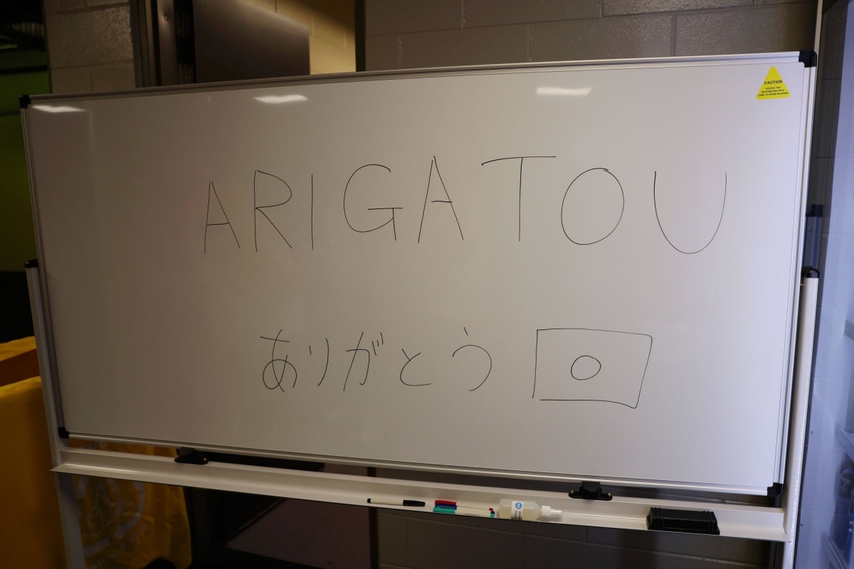 Khám phá SVĐ Waikato nơi chuẩn bị diễn ra trận đấu giữa nữ Việt Nam vs nữ Bồ Đào Nha 7 Khám phá SVĐ Waikato nơi chuẩn bị diễn ra trận đấu giữa nữ Việt Nam vs nữ Bồ Đào Nha 7