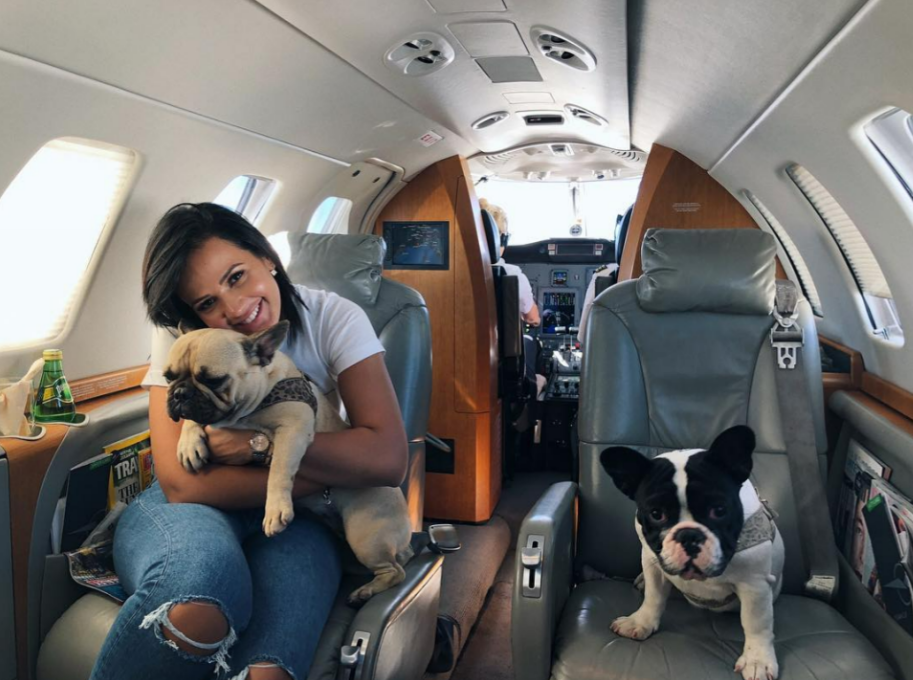 Thương vụ Fabinho đến Al-Ittihad có thể đổ vỡ vì 2 chú chó 1 Thương vụ Fabinho đến Al-Ittihad có thể đổ vỡ vì 2 chú chó 1