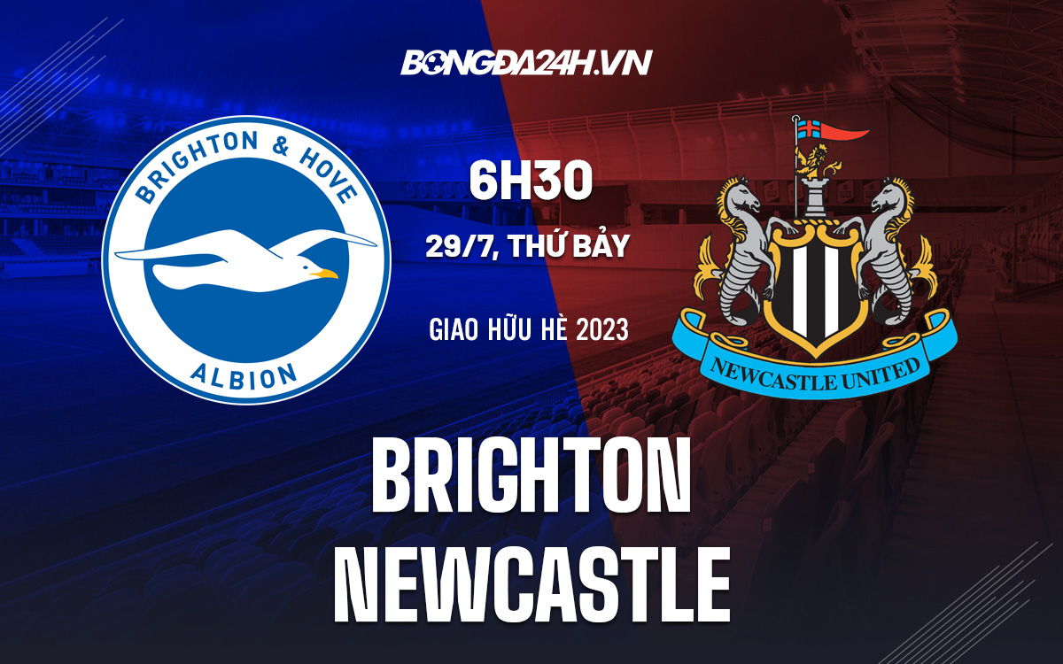 Brighton vs Newcastle