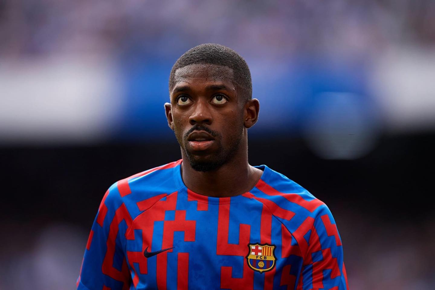 353005383_833208558370851_7613779349594596868_n