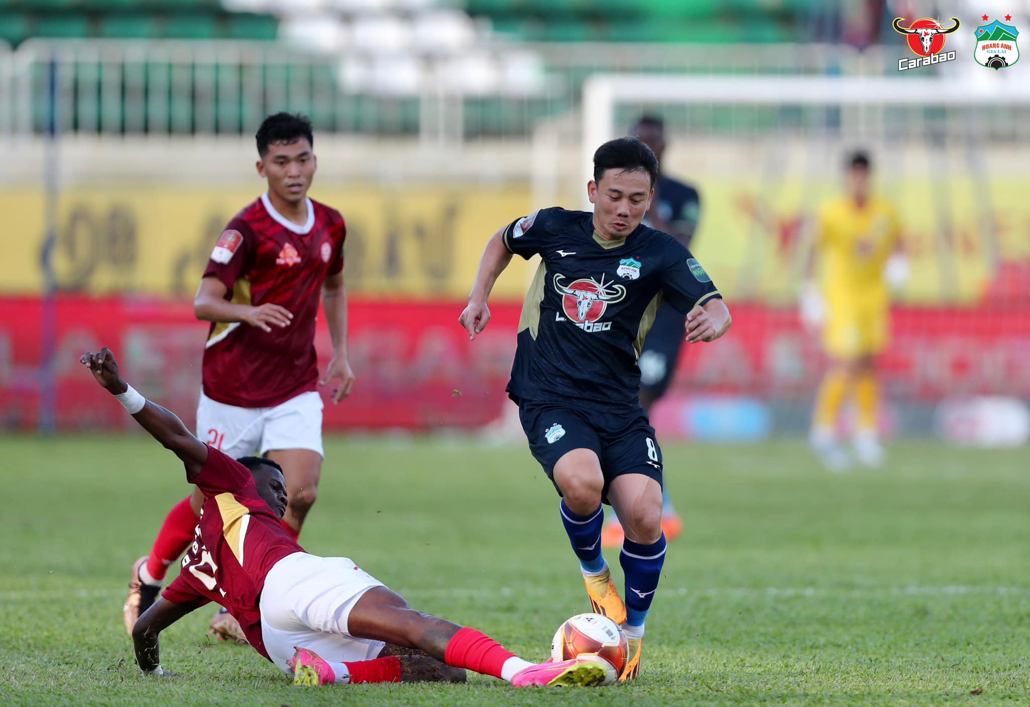 HAGL vs TPHCM HAGL vs TPHCM