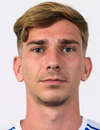 Erwin Softic