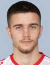 Faris Zubanovic