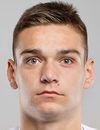 Niko Pavic