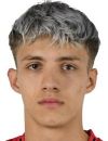 Davud Arnautovic
