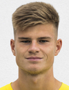 Mathias Gindl