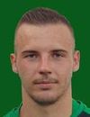 Taib Selimovic
