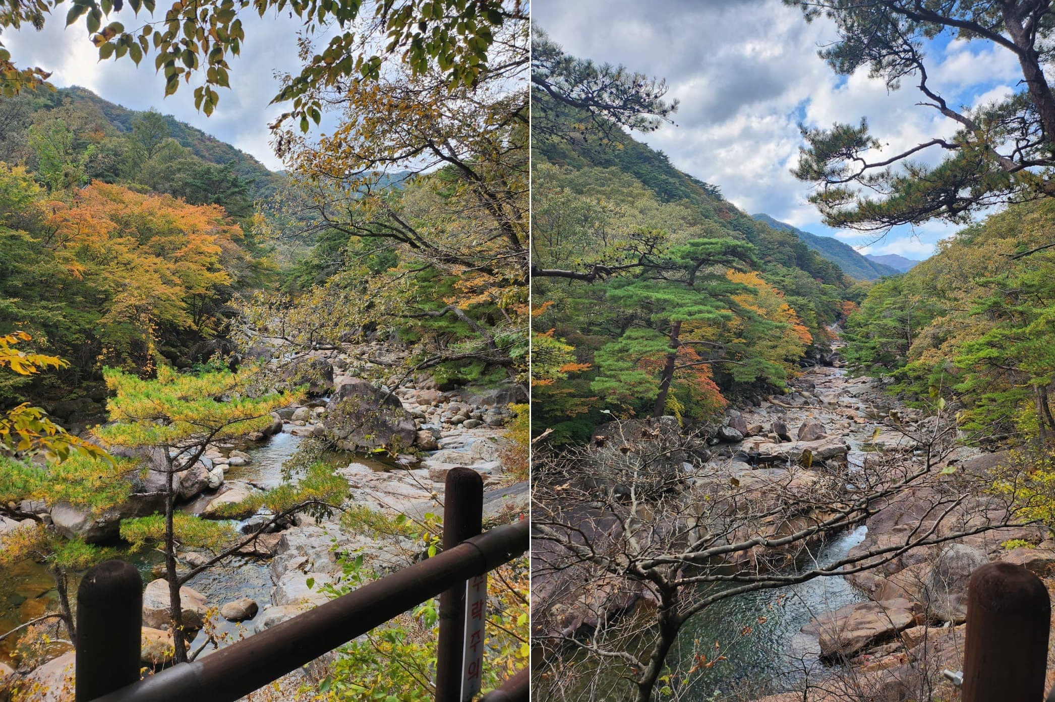 HLV Park Hang Seo thảnh thơi vãn cảnh quê nhà sau khi rời tuyển Việt Nam 1 HLV Park Hang Seo thảnh thơi vãn cảnh quê nhà sau khi rời tuyển Việt Nam 1