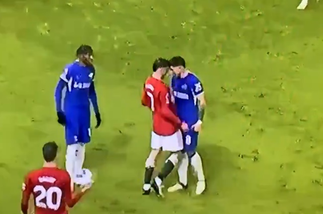 Enzo vs Mount Enzo vs Mount