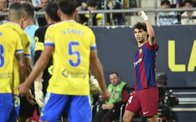 felix-3137-1713048315 felix-3137-1713048315