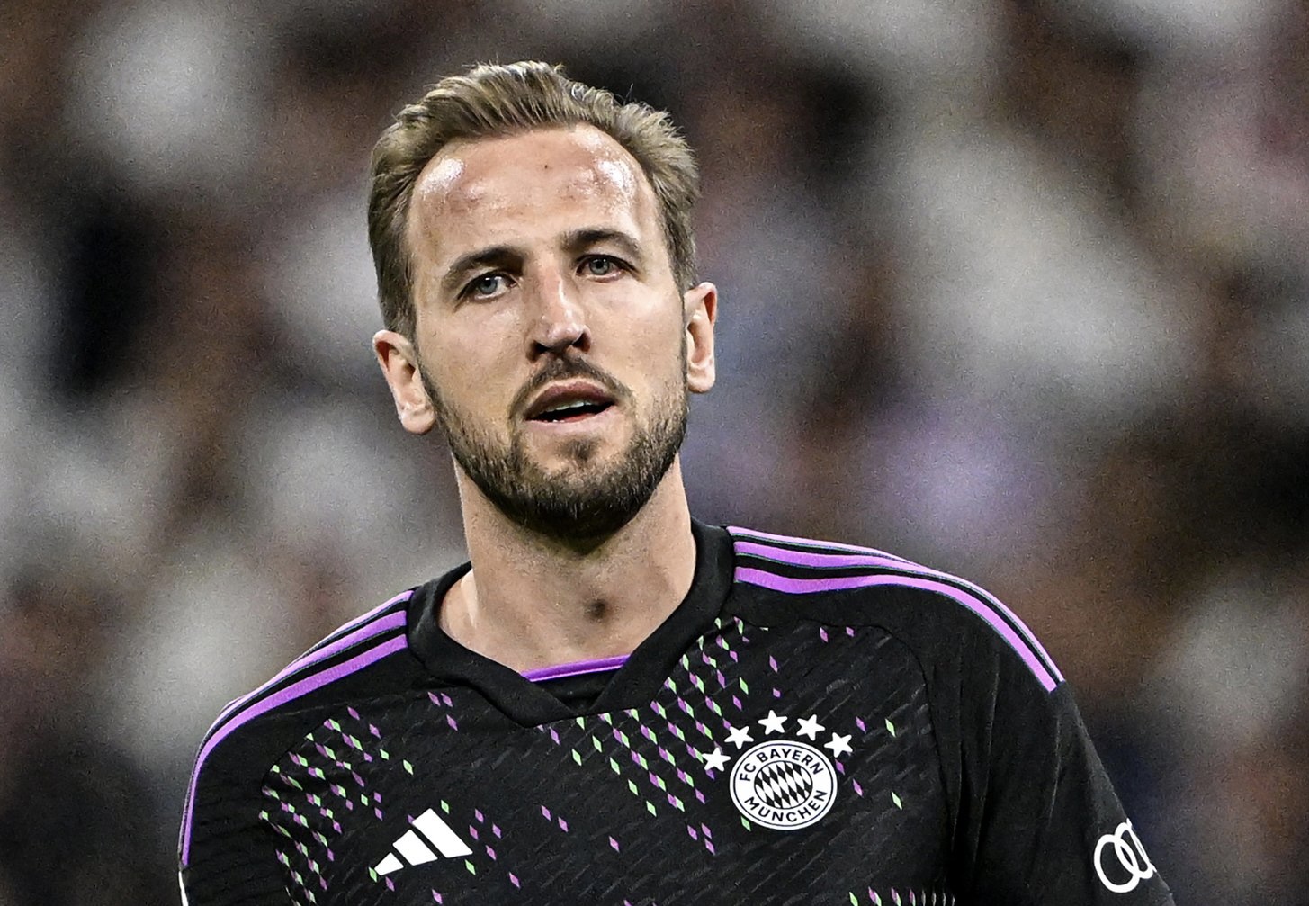 Harry Kane Sao phải cúi đầu 4