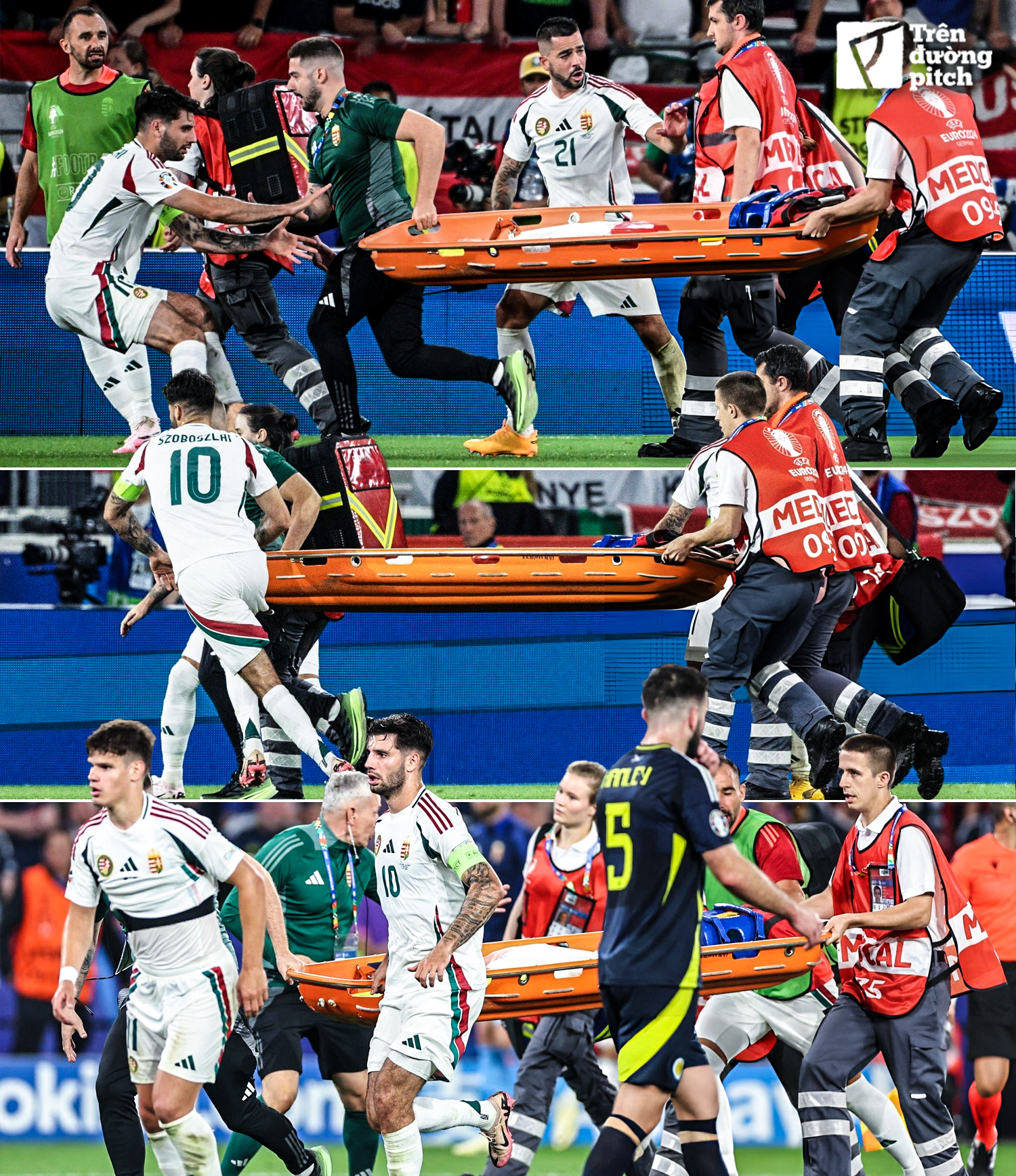 448810866_783524000627691_7550312512639787250_n 448810866_783524000627691_7550312512639787250_n