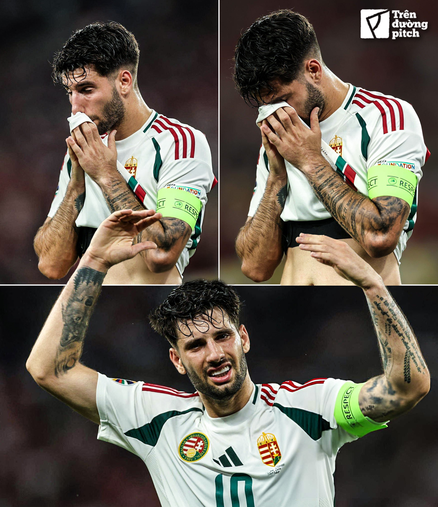 449140531_783523983961026_7634962031860273896_n 449140531_783523983961026_7634962031860273896_n