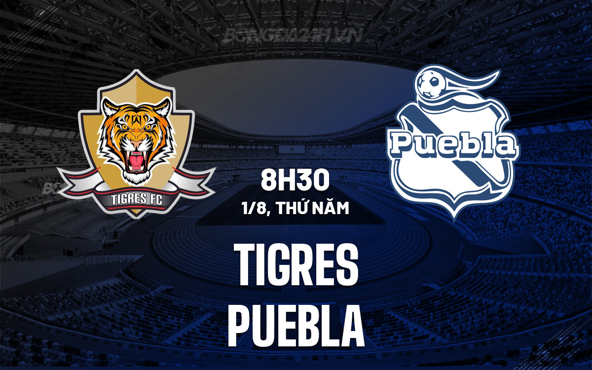 Tigres vs Puebla