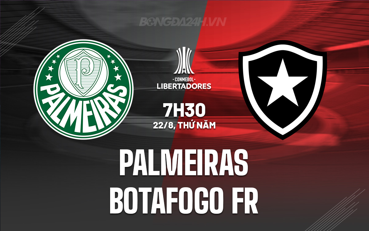 Palmeiras vs Botafogo FR