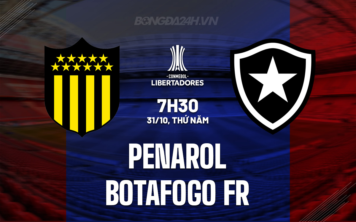 Penarol vs Botafogo FR