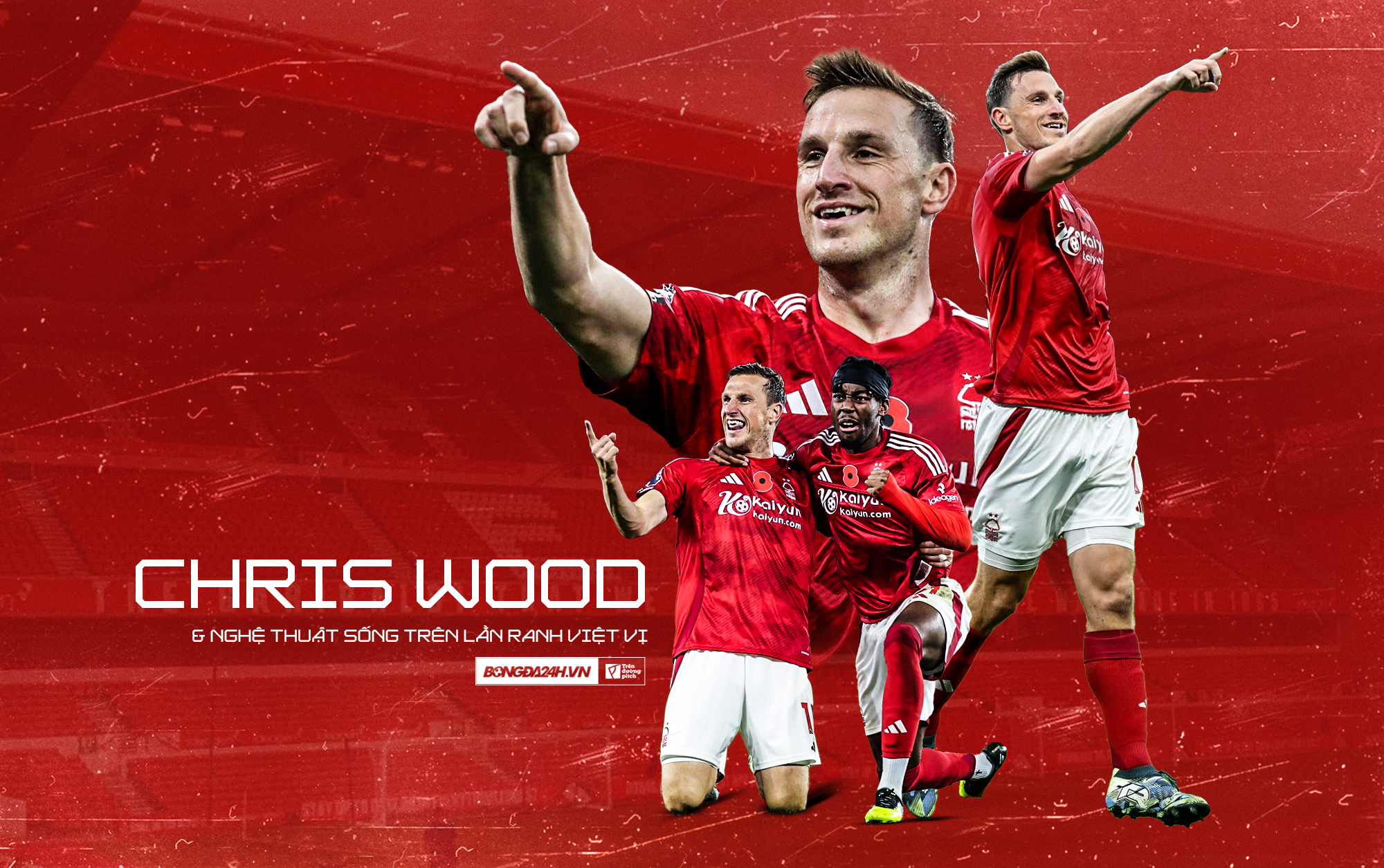 thumb bài TDP thumb bai TDP