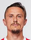 Ljubomir Fejsa