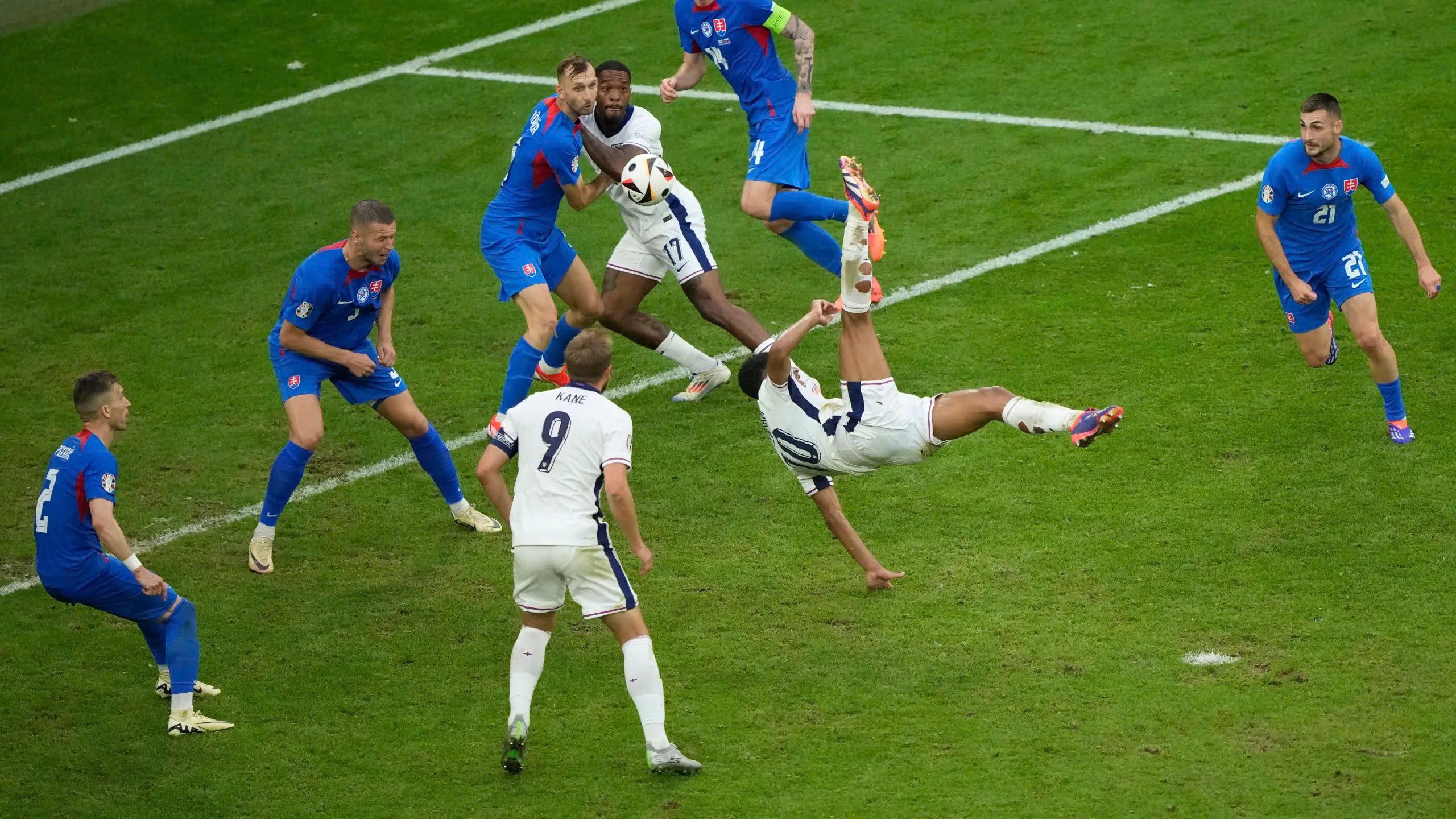 bellingham bellingham