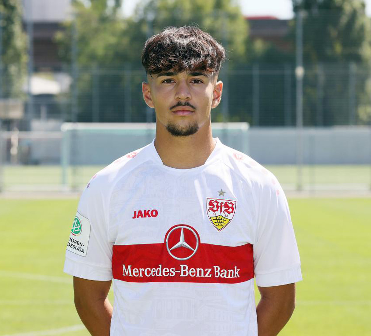 tieu-su-tien-ve-laurin-ulrich