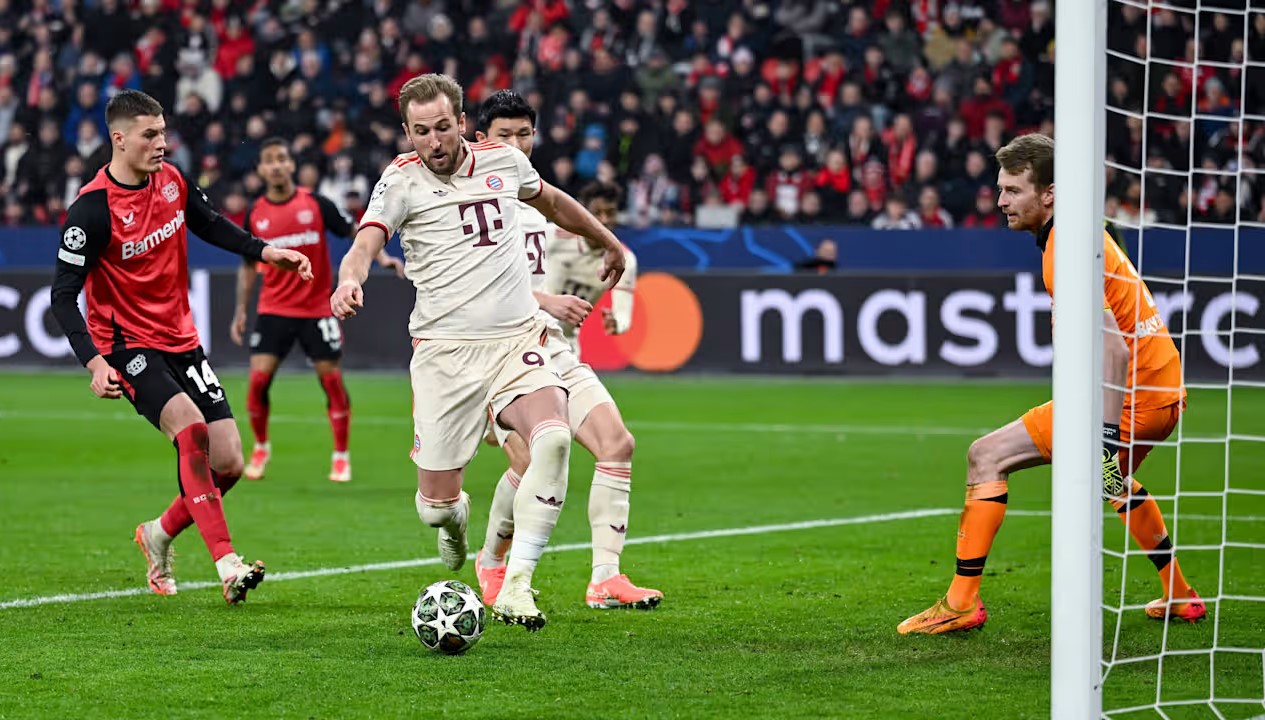 Harry Kane Móng vuốt sắc lạnh của Hùm xám 1
