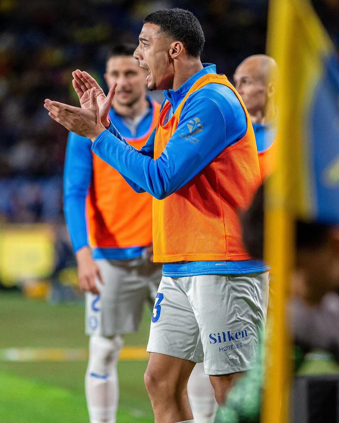 Carlos Protesoni