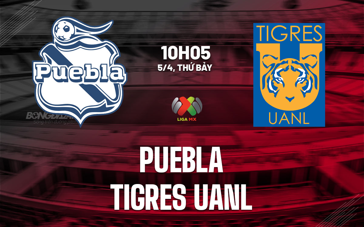 nhan dinh bong da du doan Puebla vs Tigres UANL vdqg mexico hom nay