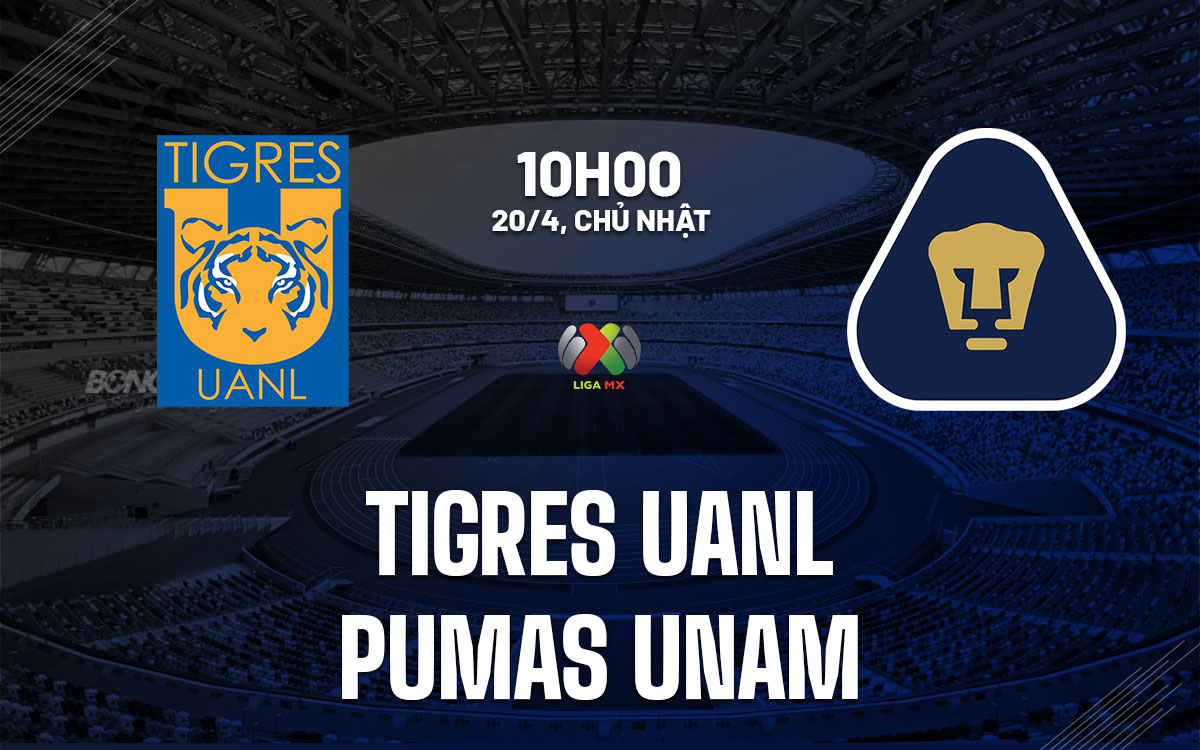nhan dinh bong da du doan Tigres UANL vs Pumas UNAM vdqg mexico hom nay nhan dinh bong da du doan Tigres UANL vs Pumas UNAM vdqg mexico hom nay