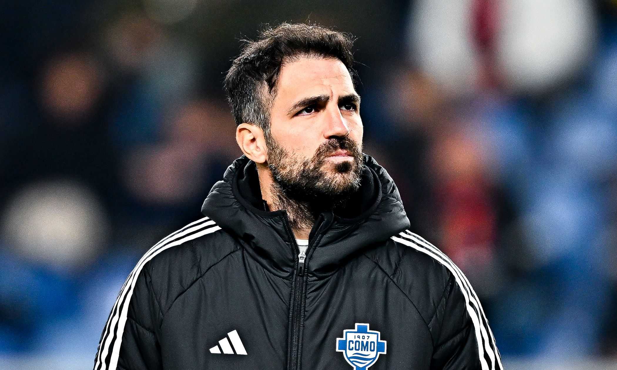 fabregas