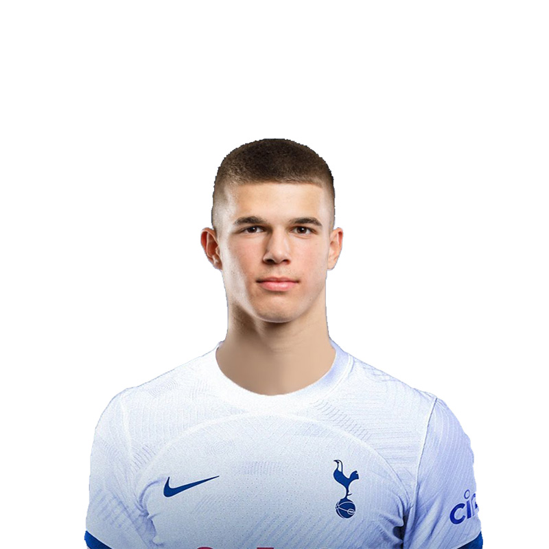 Luka Vuskovic